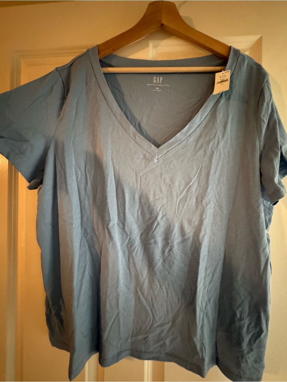 GAP V-Neck Cotton Tee in Light Blue NWT